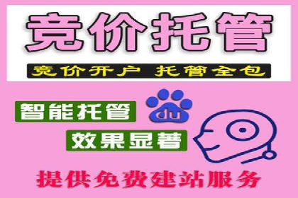 百度竞价排名案例揭秘：广告创意的重要性